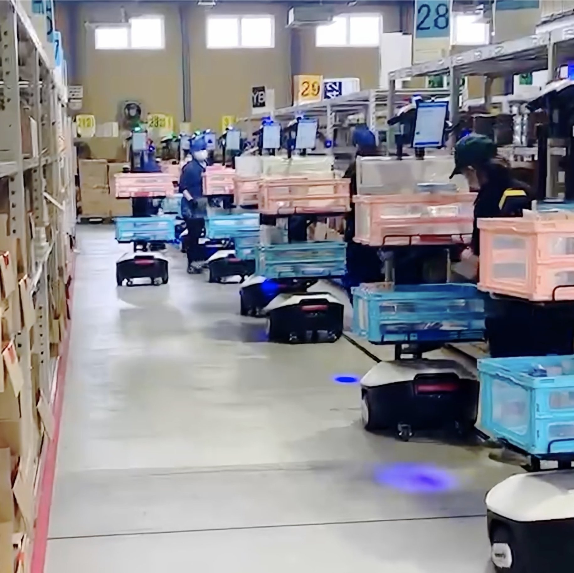 Ehime-Factory-Picking-Scene